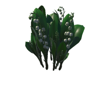 Flower_Convallaria majalis1_1